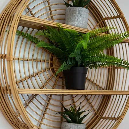 Arcos D'alvor אלבור